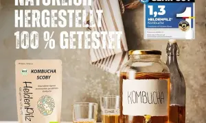 Kombucha: Jaki to grzyb? Prawda o SCOBY i fermentacji!