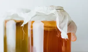 Grzybek kombucha: jak przechowywać SCOBY, by był wieczny?