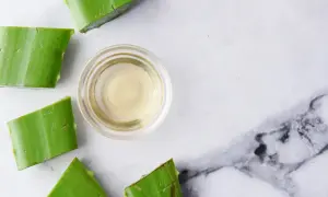 Pokrojone kawałki aloesu otaczają małą miseczkę z przejrzystym płynem, gotowe do przygotowania aloes do picia.