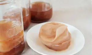 Jak wyhodować kombuchę? Poradnik krok po kroku od SCOBY do napoju
