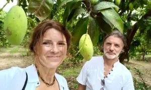 Para z uśmiechem pozuje na tle drzew, gdzie rośnie mango. Widać duże, zielone owoce.