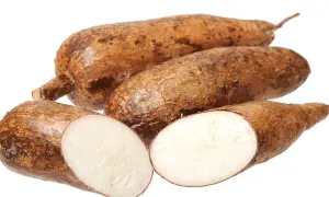 Kilka bulw manioku, jedna przekrojona na pół, ukazująca biały, skrobiowy miąższ.