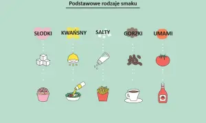 Podstawowe smaki: słodki (ciastko), kwaśny (cytryna), słony (frytki), gorzki (kawa) i umami (pomidor, ketchup).