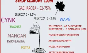 Syrop klonowy właściwości: zawiera cynk, magnez, mangan, potas, wapń, witaminy i polifenole o działaniu przeciwutleniającym, przeciwzapalnym i przeciwnowotworowym.