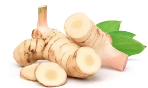 Kłącza galangalu, przyprawy o korzennym aromacie. Co to jest galangal? To egzotyczny korzeń, który dodaje smaku potrawom.