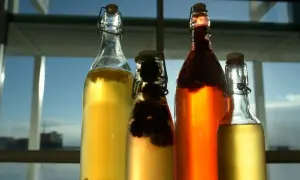 Czy kombucha zawiera alkohol? Prawda o procentach i prawie