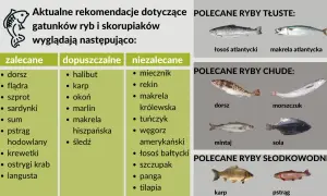 Zalecane morskie ryby to dorsz, flądra, szprot, sardynki. Polecane ryby chude to dorsz, morszczuk, mintaj, sola.