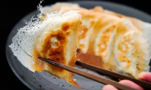 Chrupiące japońskie pierogi, podniesione pałeczkami, z delikatną, koronkową panierką.