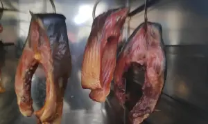 Idealny karp do wędzenia? Kompletny poradnik przygotowania