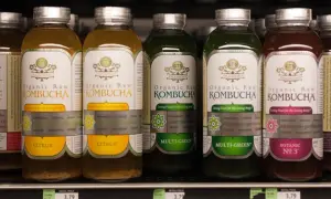 Kombucha: Gdzie kupić, by wybrać najlepszą? Poradnik zakupowy