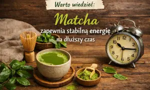 Co to jest matcha? Odkryj moc zielonego eliksiru i jak ją parzyć