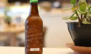 Szklana butelka z zieloną nakrętką, etykietą "Kombucha Tropical" i rośliną w doniczce.