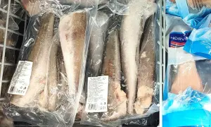 Ryby mrożone w opakowaniach, gotowe do przygotowania pysznego obiadu. Widać etykiety z informacjami o wadze i pochodzeniu.