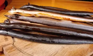 Solanka do węgorza: przepis na idealne wędzenie bez błędów