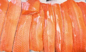 Rzędy świeżych filetów z pstrąga łososiowego i łososia, ułożone na lodzie, kuszą apetycznym, pomarańczowym kolorem i widocznymi włóknami mięsa.