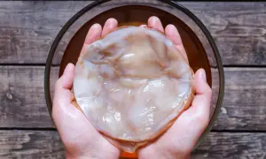 Kombucha: z czego powstaje? Składniki, które musisz znać!