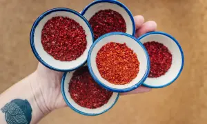 Dłoń trzyma cztery małe miseczki z płatkami papryki do kimchi.