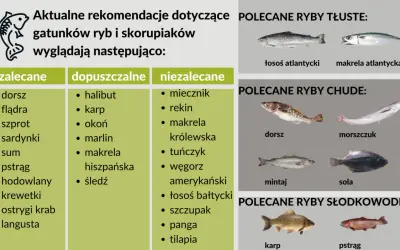 Zalecane morskie ryby to dorsz, flądra, szprot, sardynki. Polecane ryby chude to dorsz, morszczuk, mintaj, sola.