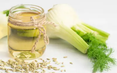 Słoiczek z olejem z kopru włoskiego, nasiona kopru i świeże bulwy. Ten aromatyczny fennel przyprawa to skarb natury.