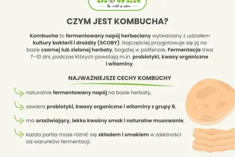 Kombucha: Ile może stać? Przechowywanie, świeżość i oznaki zepsucia