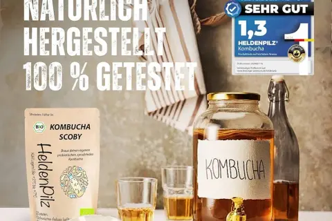 Kombucha: Jaki to grzyb? Prawda o SCOBY i fermentacji!