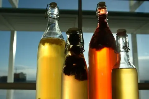 Czy kombucha zawiera alkohol? Prawda o procentach i prawie