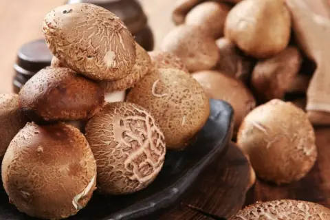 Kupa świeżych grzybów shiitake na czarnej desce, niektóre w worku jutowym.