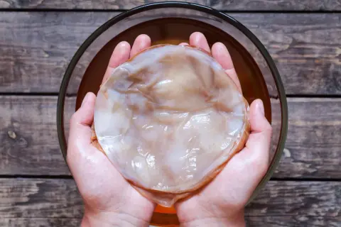 Kombucha: z czego powstaje? Składniki, które musisz znać!