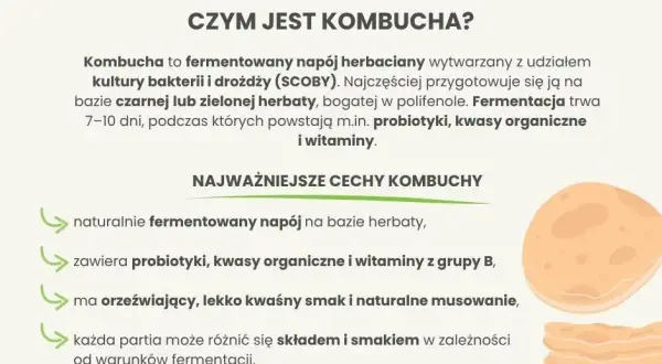Kombucha: Ile może stać? Przechowywanie, świeżość i oznaki zepsucia