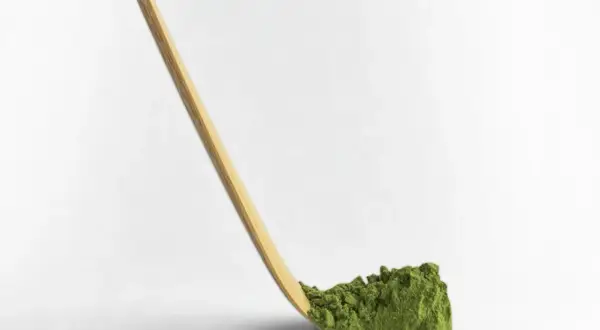 Drewniany chashaku nabiera zielony proszek matcha.