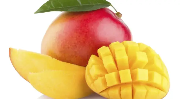 Soczyste, pokrojone w kostkę i w plastrach mango, z całą owocem i liściem. To, co zawiera mango, to witaminy i słodycz.