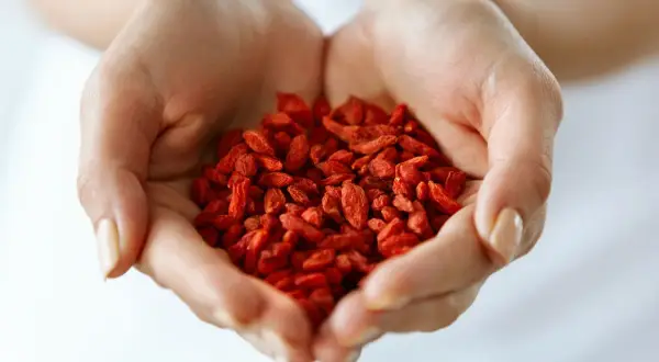 Dłonie trzymają garść czerwonych jagód goji, symbolizujących ich cenne właściwości zdrowotne.
