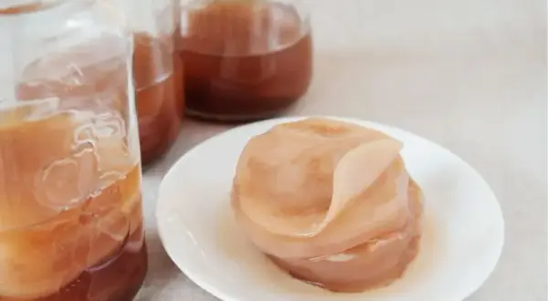 Jak wyhodować kombuchę? Poradnik krok po kroku od SCOBY do napoju