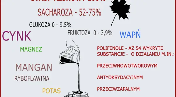 Syrop klonowy właściwości: zawiera cynk, magnez, mangan, potas, wapń, witaminy i polifenole o działaniu przeciwutleniającym, przeciwzapalnym i przeciwnowotworowym.