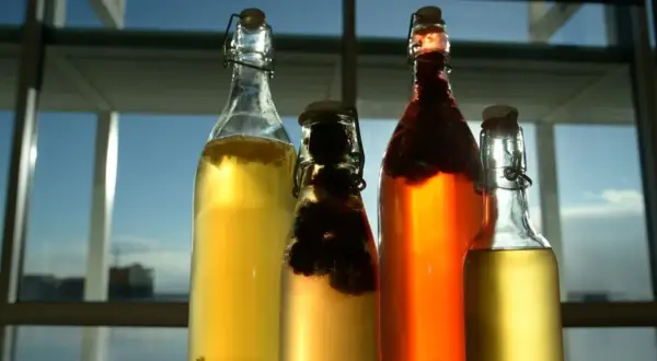 Czy kombucha zawiera alkohol? Prawda o procentach i prawie