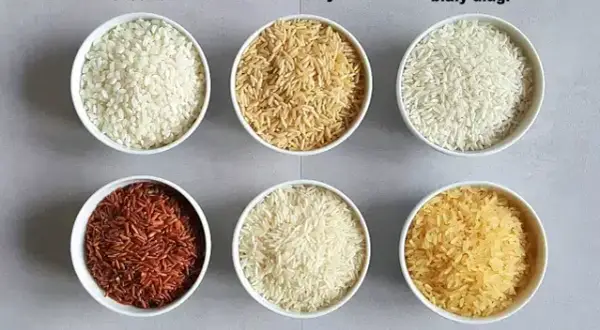 Jaki ryż do curry? Basmati czy jaśminowy wybierz idealny!