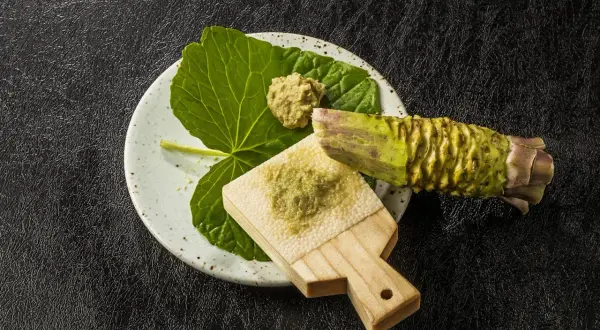 Świeżo starty chrzan japoński na tradycyjnej tarce. Obok liść i kawałek korzenia wasabi.