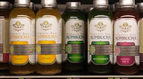 Kombucha: Gdzie kupić, by wybrać najlepszą? Poradnik zakupowy