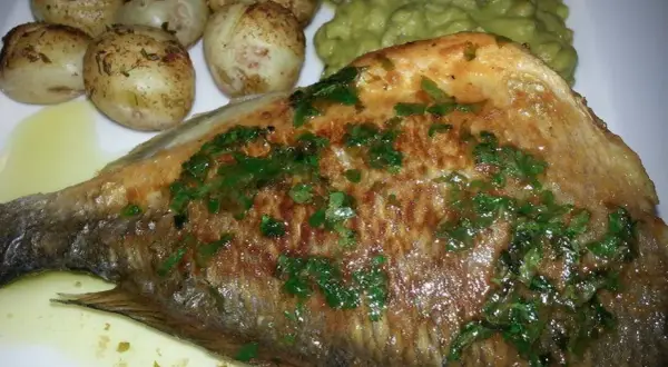Usmażona ryba bass z ziołami, podana z pieczonymi ziemniaczkami i zielonym puree.