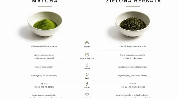 Porównanie matchy i zielonej herbaty. Czy matcha ma kofeinę? Tak, matcha ma jej więcej (ok. 70 mg) niż zielona herbata (ok. 20-30 mg).