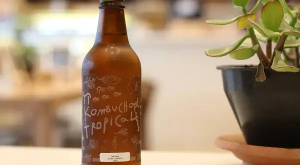 Szklana butelka z zieloną nakrętką, etykietą "Kombucha Tropical" i rośliną w doniczce.