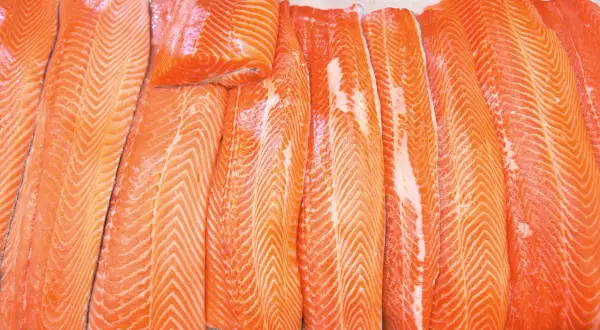Rzędy świeżych filetów z pstrąga łososiowego i łososia, ułożone na lodzie, kuszą apetycznym, pomarańczowym kolorem i widocznymi włóknami mięsa.