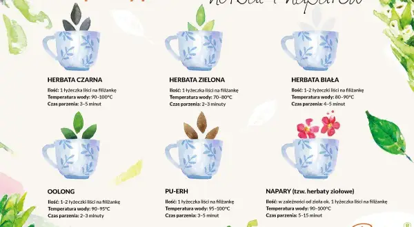 Ilustracja pokazuje, jak parzyć zieloną herbatę: 1 łyżeczka liści na filiżankę, woda 70-80°C, 2-3 minuty.