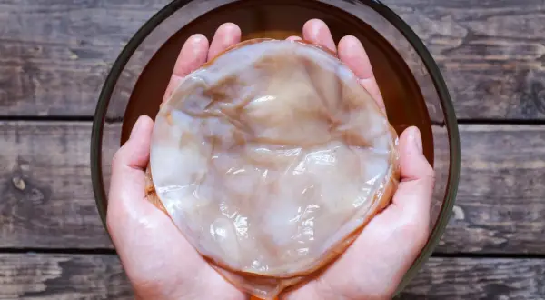 Kombucha: z czego powstaje? Składniki, które musisz znać!