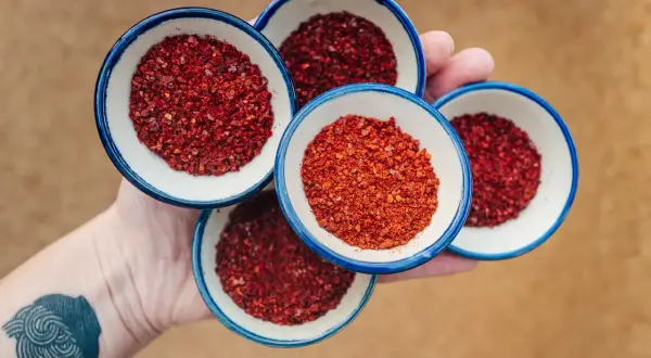Dłoń trzyma cztery małe miseczki z płatkami papryki do kimchi.