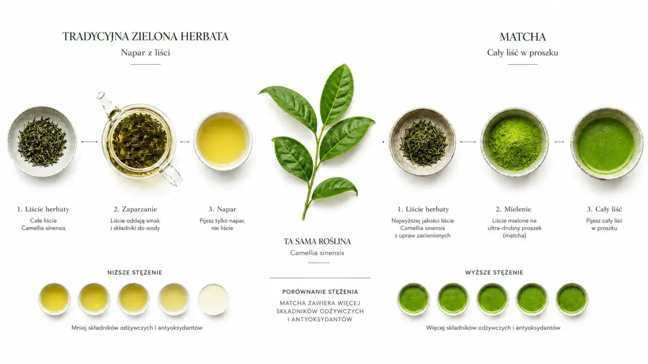 Tradycyjna zielona herbata to napar z liści Camellia sinensis, a matcha to ten sam liść mielony na proszek.