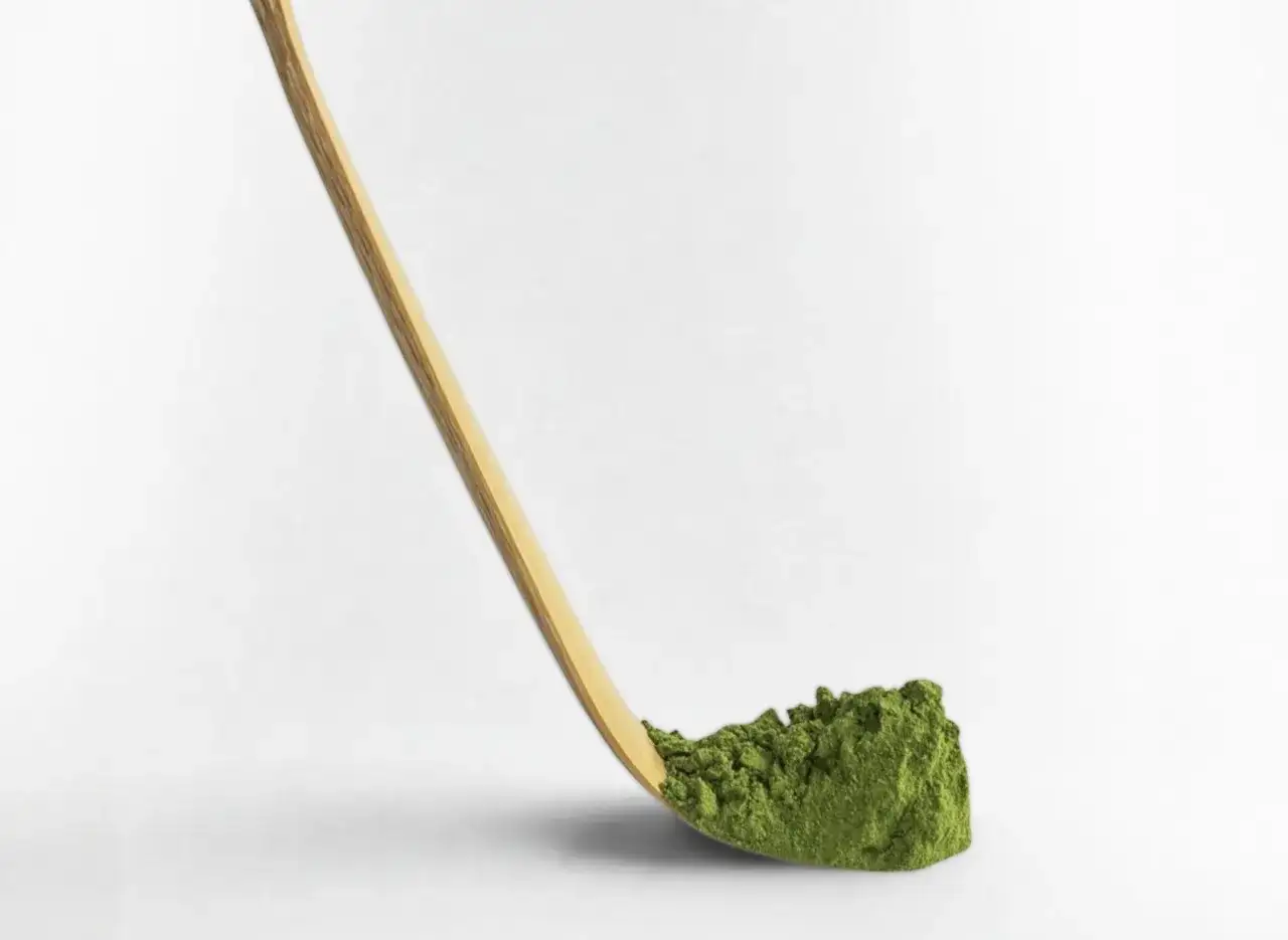 Drewniany chashaku nabiera zielony proszek matcha.