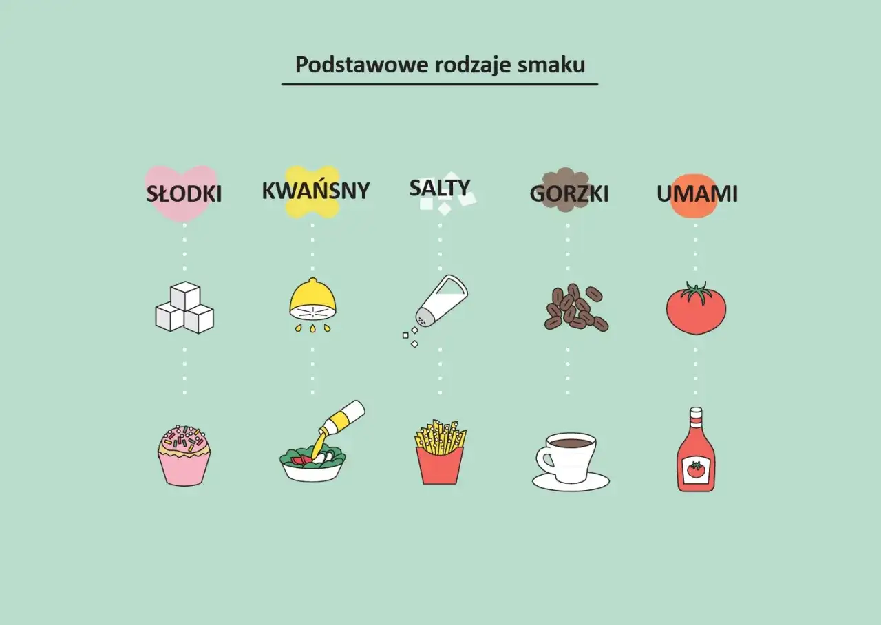 Podstawowe smaki: słodki (ciastko), kwaśny (cytryna), słony (frytki), gorzki (kawa) i umami (pomidor, ketchup).