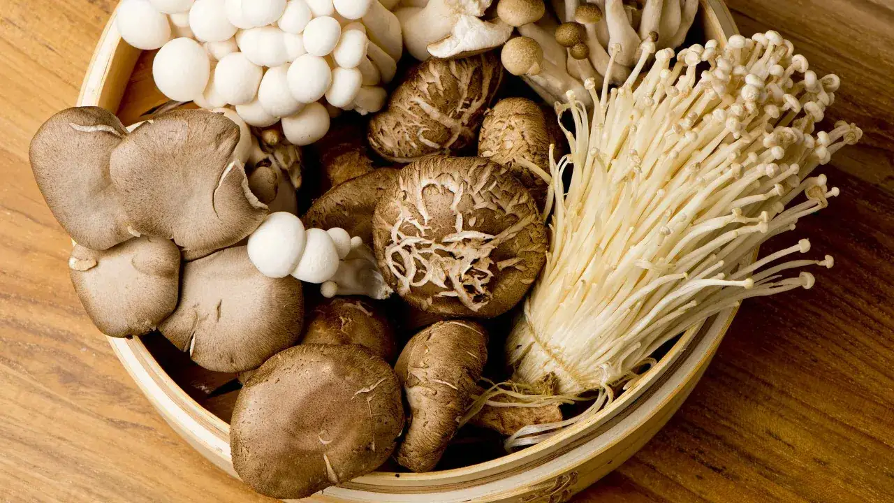 Kosz pełen różnorodnych grzybów azjatyckich: shiitake, enoki, boczniaki i shimeji.