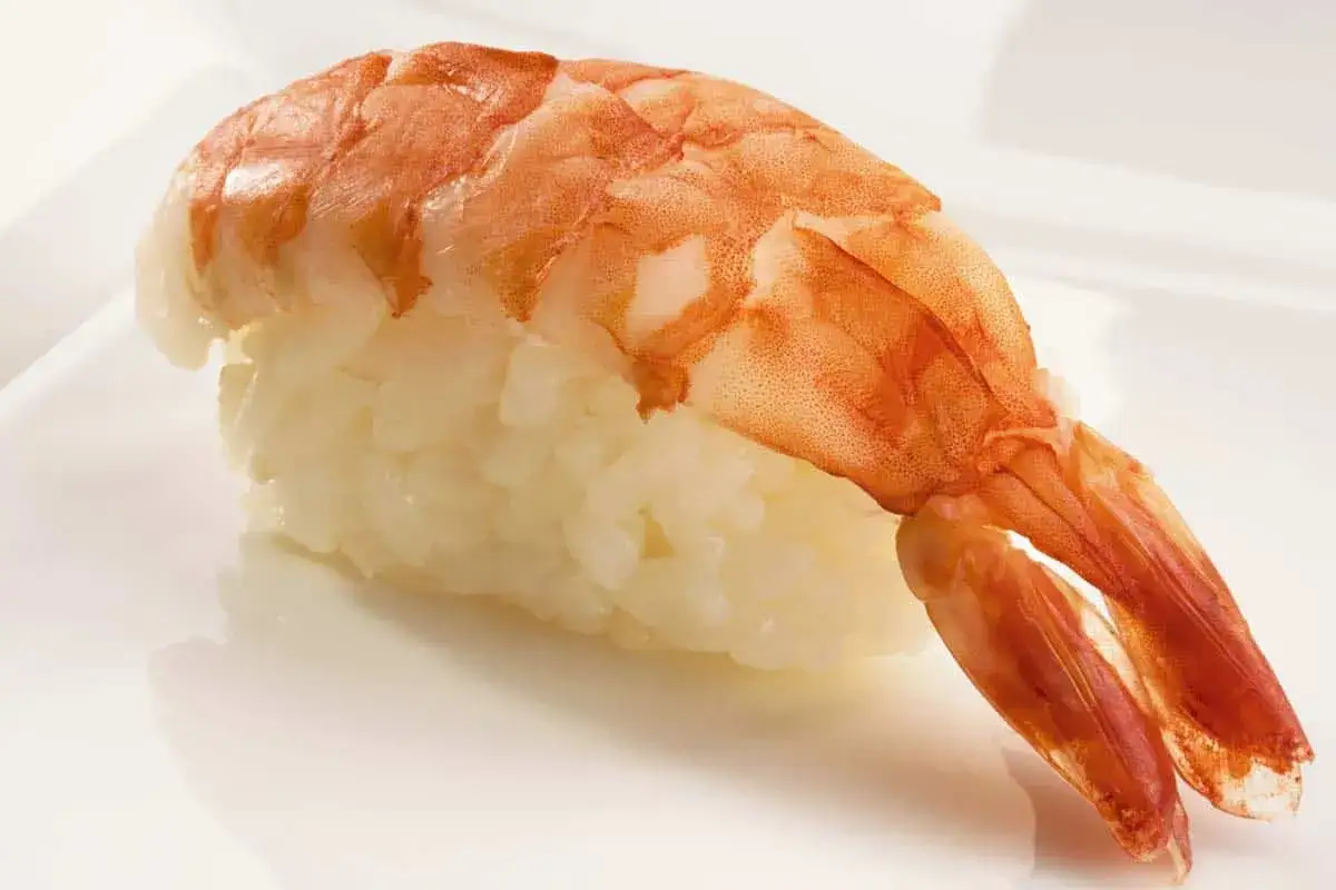 Sushi z krewetką ebi, z pomarańczową, błyszczącą skorupką i ryżem.